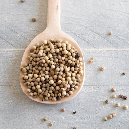 WHITE PEPPER 630GL STEAM STERILIZED