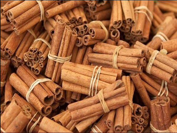 Quế điếu thuốc (stick cassia)
