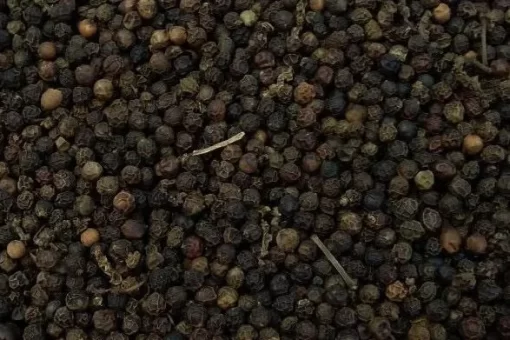 black_pepper_500_faq-edited