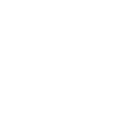 light phone icon