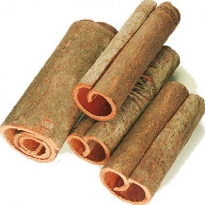 Quế ống (Tube cassia)