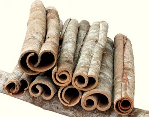 QUẾ ỐNG (TUBE CASSIA)