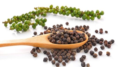 Black pepper 550gl cleaned, sc, mc, asta