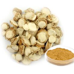 Địa liền xay