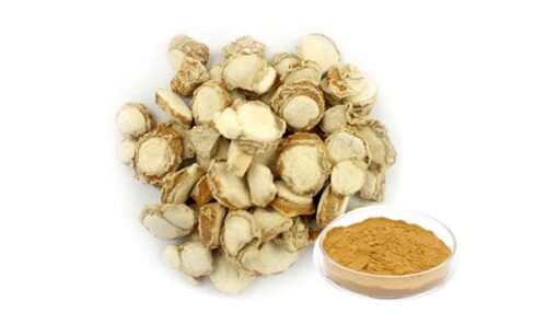 Địa liền xay