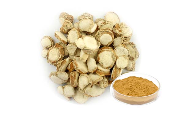 Địa liền